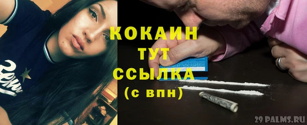 мдпв Пестово