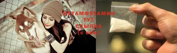 мдпв Пестово