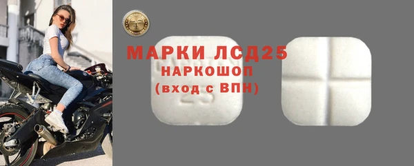 ГАЛЛЮЦИНОГЕННЫЕ ГРИБЫ Осинники