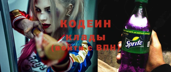 мдпв Пестово