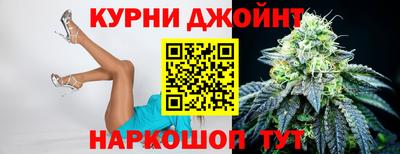 spice Гатчина