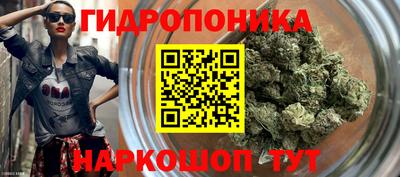 spice Гатчина