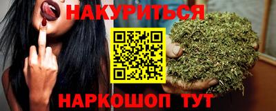 spice Гатчина