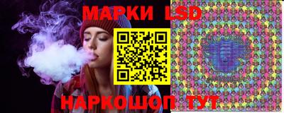 spice Гатчина