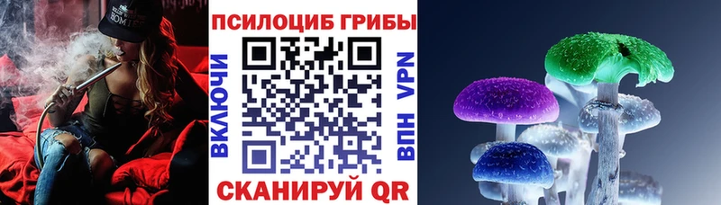 Галлюциногенные грибы мухоморы как найти наркотики OMG как зайти Тюмень